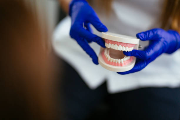  Lincolnshire, IL Holistic Dental Care Services Pros